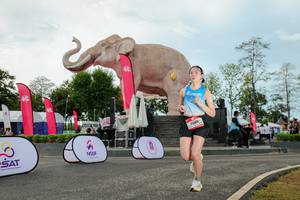 BIB: 
                            <button type="button" onclick="openModal(26528999)" class="btn btn-primary btn-sm float-right btn-popup" data-toggle="modal" data-target=".modal-high-quality">
                        <i class="fas fa-shopping-cart"></i> Add to Cart
                    </button>
                                            <button type="button" onclick="isThisMe(26528999, true)" class="btn btn-success btn-sm float-right btn-popup btn-isme hidden" data-toggle="tooltip" data-placement="bottom" title="นี่คือรูปของคุณใช่ไหม คลิกที่นี่เพื่อเอาเข้าอัลบั้ม">
                        <i class="fas fa-plus"></i> Add to album
                    </button>
                    <button type="button" onclick="isThisMe(26528999, false)" class="btn btn-warning btn-sm float-right btn-popup btn-isnotme hidden">
                        <i class="fas fa-ban"></i> Remove from album
                    </button>